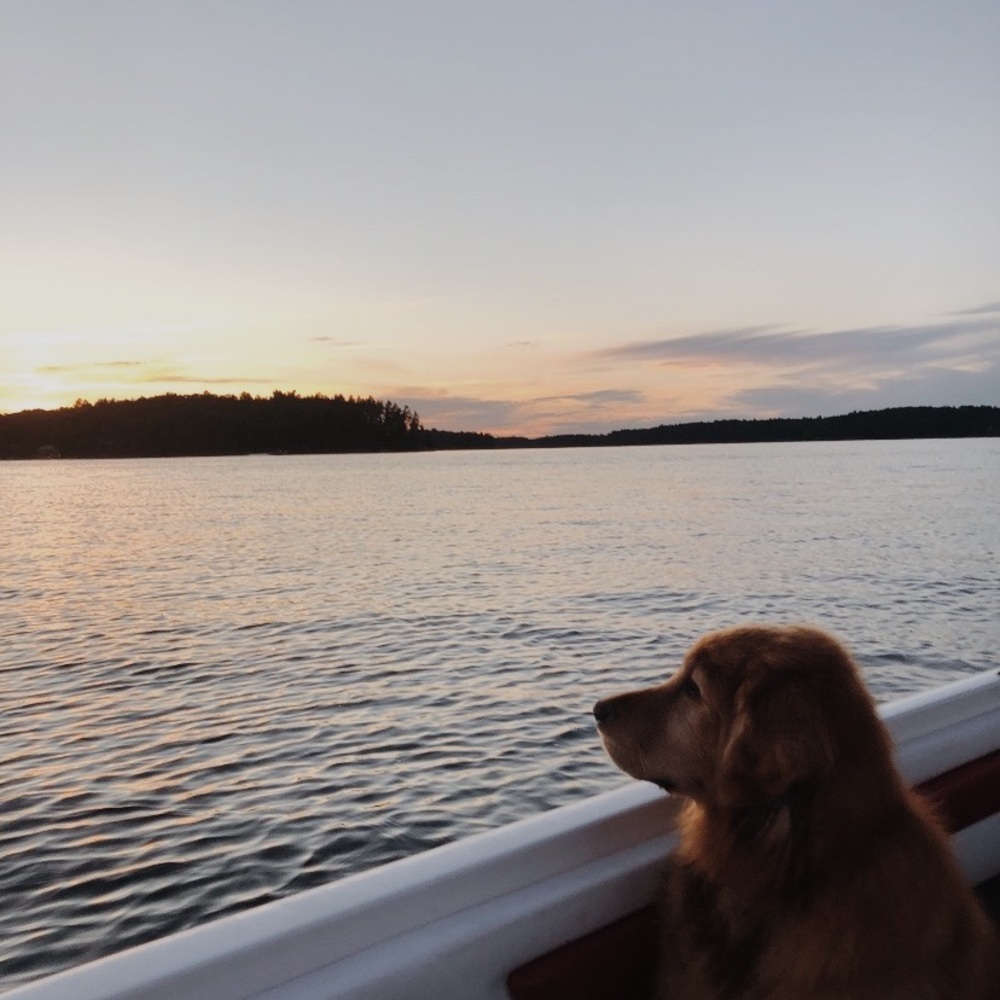 Meet your Posher, Lorna